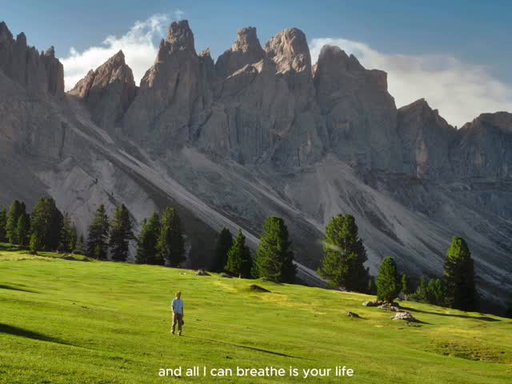 I don’t wanna go back home

#nature #camping #travel #liveyourbestlife