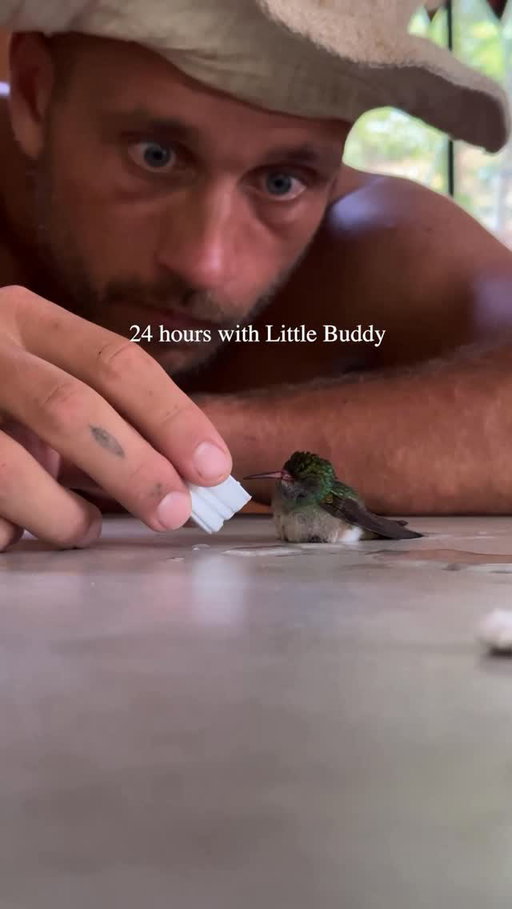 24 hours with Little Buddy