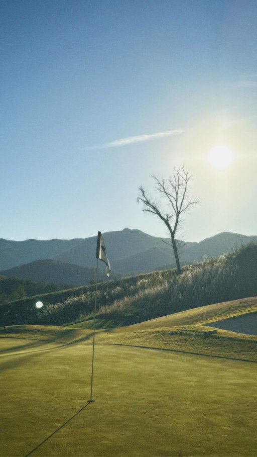 I thought this was the hardest shot in golf?🤔 #jakedezgolf #golf #golfswing #progolf #golfcontent #golftips #pgatour #golfcourse #tigerwoods #progolfer