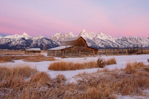 My favorite photo from our little trip to Jackson. 🤩 

#moultonbarn #tetons #wyoming #west