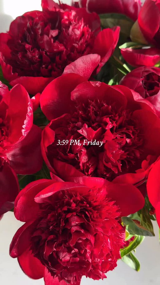 Before the Thanksgiving prep starts, here’s your sign to take a breather and watch our Cherry peonies bloom.