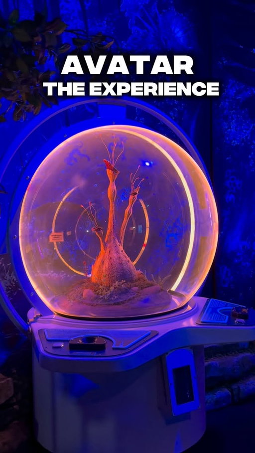 Te traigo un súper plan en Madrid que NO te puedes perder 🔥

Avatar: The Experience llegó por primera vez a Europa y está en Espacio Delicias por tiempo limitado.

Adéntrate en Pandora, disfruta zonas inmersivas, bosques que brillan, un banshee a tamaño real y hasta puedes avatarizarte 🌀💙

🎟️ Entradas en Fever @fever_es (link anclado en mi perfil)
💸 Usa mi código Portuvieira10 para descuento
⚡ 25% OFF Black Friday hasta el 1 de diciembre

Nos vemos en Pandora, mi gente 🌌💙

#avatartheexperience #feverambassador #fever