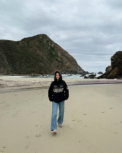 pfeiffer beach and purple sand🪁