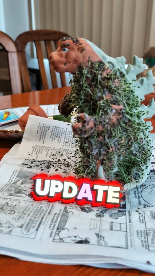 I got an update on the Godzilla Chia Pet,.and it's not a good one 😂 Time to have a do over

#godzilla #chiapet