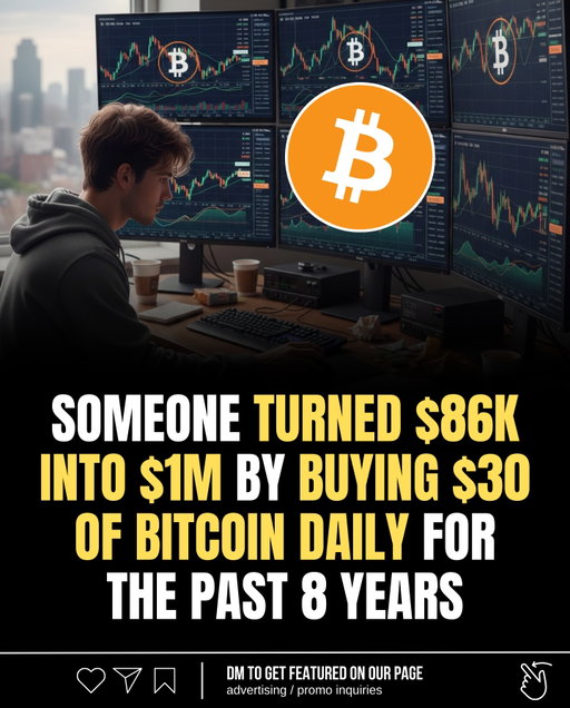 One persistent investor transformed $86,000 into over $1 million simply by purchasing $30 worth of Bitcoin every single day over the last eight years.
⠀
This dollar-cost averaging approach rode out the market’s wild swings, from crashes to all-time highs, proving the power of steady accumulation in a volatile asset.
⠀
The story serves as a quiet reminder that consistent, unflashy habits can yield life-changing results in the world of cryptocurrency investing.