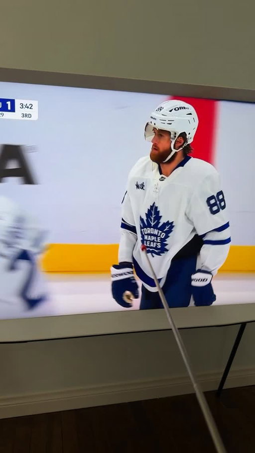 I love this line @williamnylander @eastoncowan.7 @mapleleafs #pointerstick