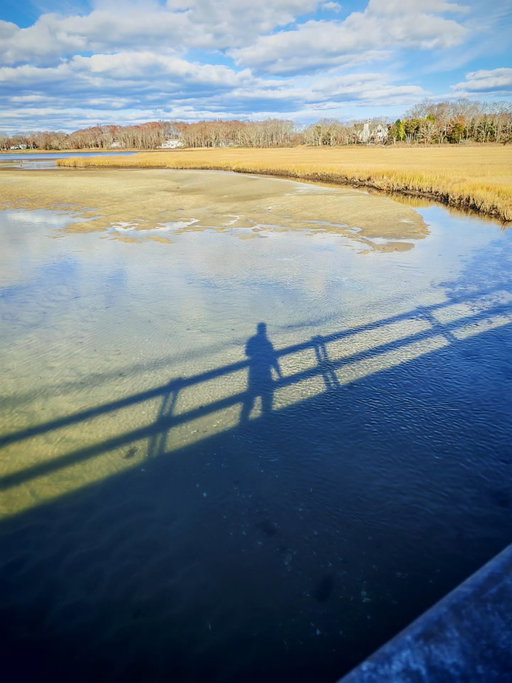 Giving thanks 

Shot on Honor Magic V Flip2 on a crisp, quiet, gorgeous day on the east end of Long Island NY. Have a great 🦃 day, friends. Thanks for everything.