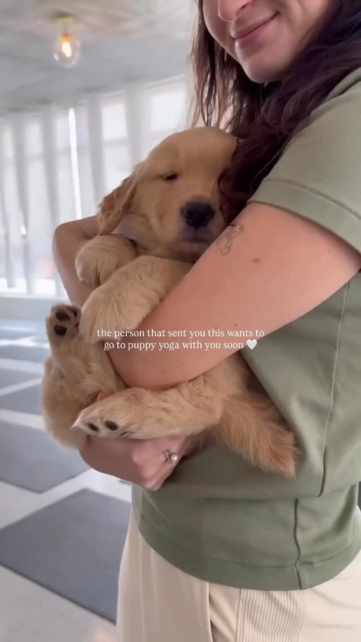 Feeling thankful for Golden puppy snuggles 🥹

Toronto, get ready for the ultimate weekend reset with Golden Retriever puppy yoga in both our Sun & Glow studios! Spots are filling fast - get them before they’re gone!

🤍 Sat, Nov 29th & Sun, Nov 30th
📍639 Queen St W
🔗 Grab tickets at the link in our bio
