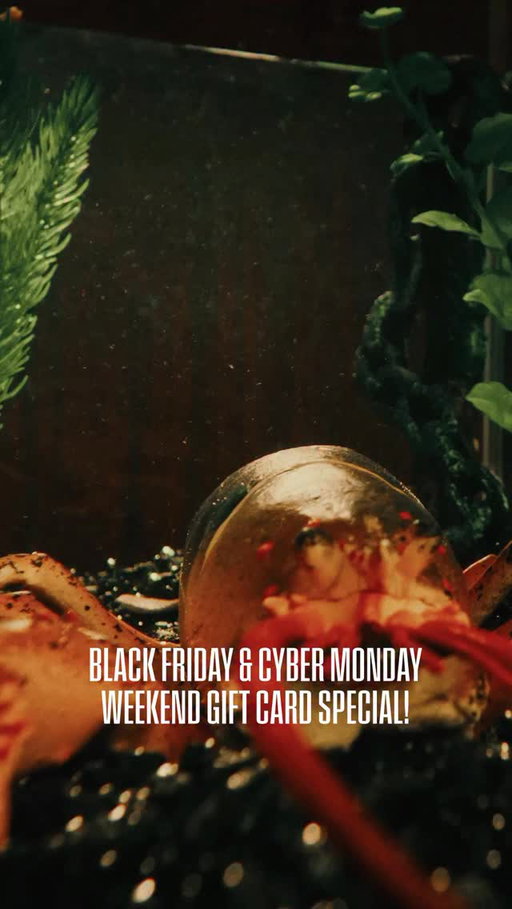 Your Black Friday wishes just came true — this weekend through Cyber Monday, get 10% off eGift Cards of $50 or more. Plus, use your two $5 bonus coupons to enter The Red Lobsttery sweepstakes for a chance to win $25,000! 

$5 Bonus Coupons are valid for dine-in and online To Go orders, with minimum purchase of $40, excludes alcohol, tax, third party delivery, catering, gratuity, and gift cards. Coupons are redeemable from January 1, 2026 through February 28, 2026 (excluding 2/13/26 - 2/15/26). See coupon for full terms and conditions.
