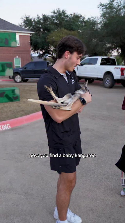Only in Texas you’ll find this 🦘 

#babykangaroo #texasam