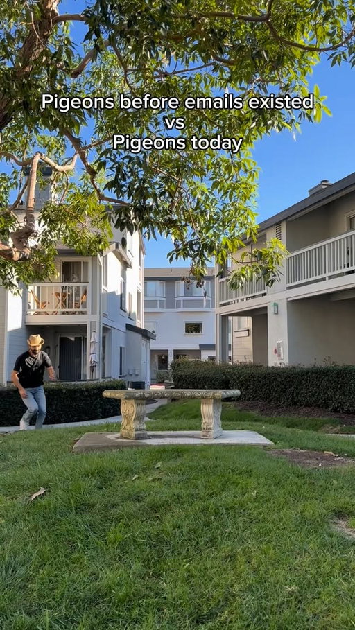 Pigeons before emails existed vs pigeons today. #skit #comedy #funny