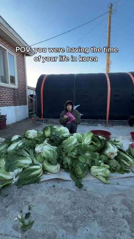 Enough kimchi to feed a village 😭 HOW DO THE GRANDMAS DO THIS. #kimchi