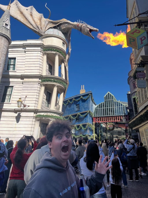 I went absolutely haywire at Harry Potter world today. If you’re not living it you’re leaving it, and I’ve always said that.