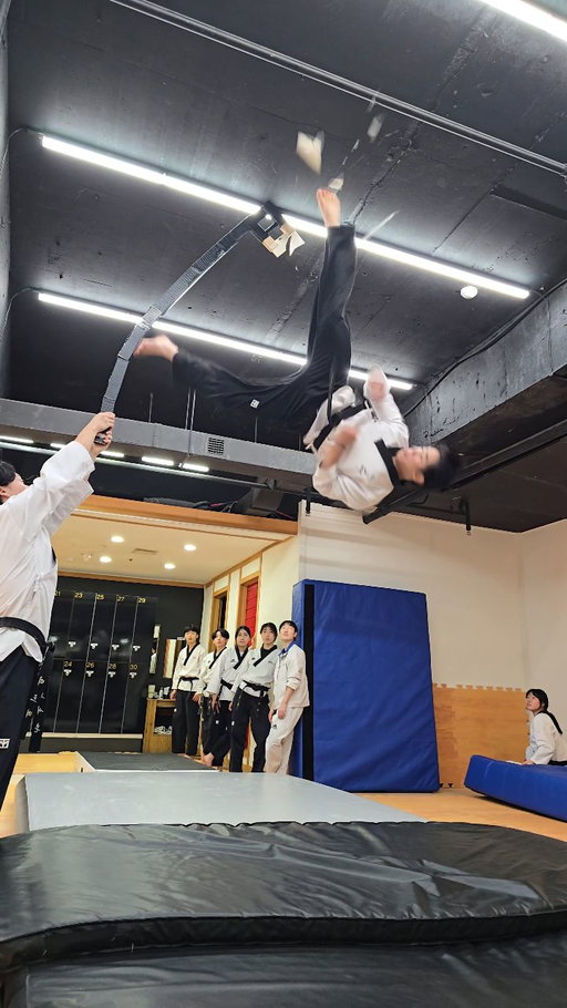 와.. 대박‼️ @h_armo.ny
 
#미르메 #허민 #훌스네퍼스와이프 #taekwondo