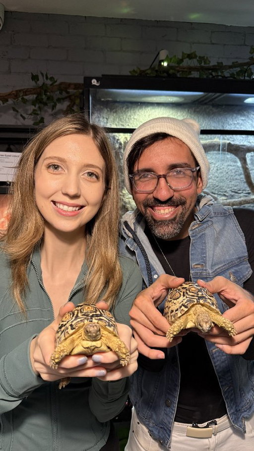 Took my friend @the.ali.way to face his fears at @mystikcafe in @kensingtonmarketbia. 

At the premier of Zootopia 2 Ali shivered when Gary De'Snake came on screen. He told me he was terrified of reptiles. So I made it my mission to find a real world Reptile Ravine and Mystik Cafe was PERFECT. 🐍 

We learned sooo much about these incredible creatures and had an amazing VIP experience. VIPs even get printed photo stickers holding thier favourite reptile. 

They are currently having a naming event for each of the animals! We put in a bid for the name Nugget. 

56C Kensington Ave. TORONTO

#reptiles #reptilesofinstagram #reptile #snakes #snake #reptilelover #lizard #thinfstodotoronto #reptilekeeper #lizards #animals #pets #gecko #exoticpets #lizardsofinstagram #ballpython #nature #petsofinstagram #pet #wildlife #herpetology #geckos #reptilephotography #geckosofinstagram #animal #cafe #ballpythonsofinstagram #python #reptilecafe #ballpythons