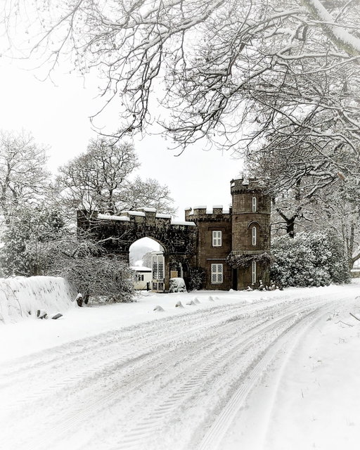 Things are starting to feel festive here in Scotland! 😍❄️ Who else is excited for this magical season?! ✨ 

📍 @monzieestate, Perthshire
📷 @olivergmlewis

📍 The Cloisters, University of Glasgow
📷 @visitscotland

📍 @thewallacemon, Stirling
📷 @visitscotland

📍 @aberdeenchristmasvillage, Aberdeen
📷 @visitscotland

📍 Hermand Birchwood, West Lothian
📷 @paul_watt_photography

#Scotland #VisitScotland #ScotlandTravel #ExploreScotland