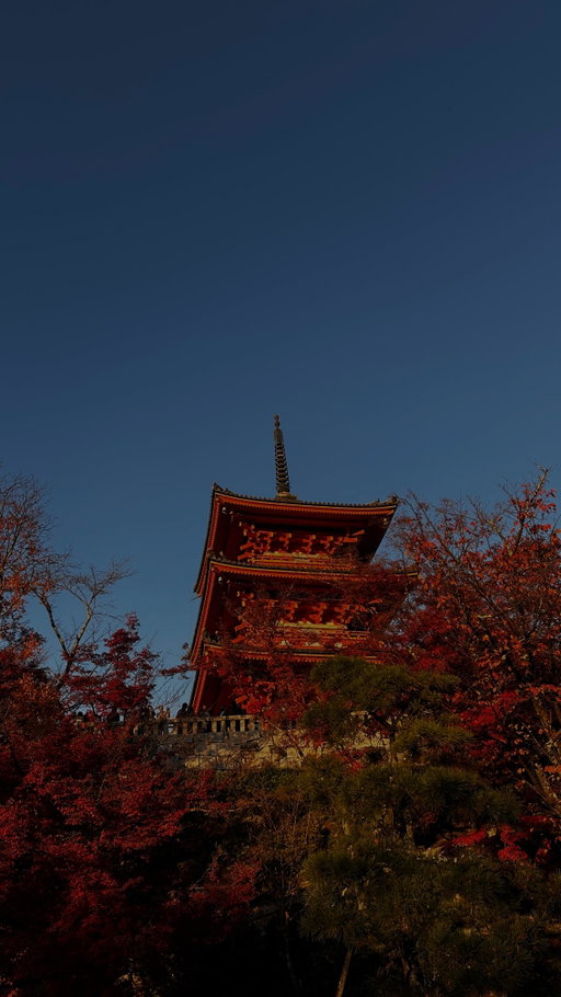 You know, just ✨girly✨ things 🖤

#kyotojapan #kiyomizudera⛩ #kyoto