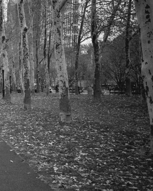 Quiet transitions on film.