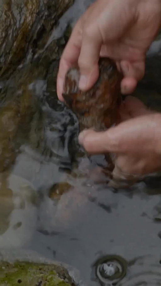 Explore the real Oregon legend that inspired The Goonies. 🏴‍☠️
Uncover history on a new #ExpeditionUnknown Wednesday at 9P on Discovery.