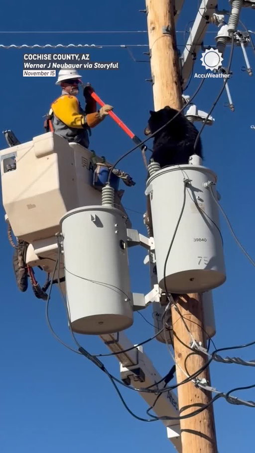 An Arizona lineman successfully coaxed a bear off a utility pole after it climbed to the top and was in danger of being electrocuted. The bear eventually got down from the pole and ran away unharmed.