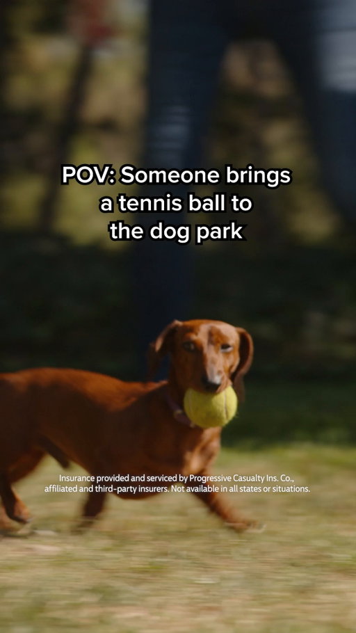 Any ball at the dog park becomes a community ball. Those are the rules.
