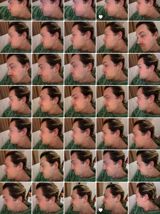 the time i got stoned and took 102 pictures of the side of my face, 2025