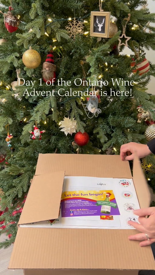 Day 1 of the Savvy Ontario Wine Advent Calendar is here! 🎄🍷

We’re starting strong with @betweenthelineswinery ‘s Merlot in a can.

Smooth, juicy, and bursting with dark berry flavours, this easy-drinking red is made for cozy nights in or BBQ nights with ribs and corn on the cob.

Are you sipping this on the couch or save it for your next grill session? 🔥

#WineAdventCalendar #OntarioWineAdventCalendar #BetweenTheLinesWinery #OntarioWine #savvycompany
