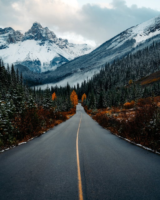 Winter in the Canadian Rockies ❄️🇨🇦

A few years ago I spent fall and into the first few weeks of winter in the rockies in my 4Runner and it was truly magical.