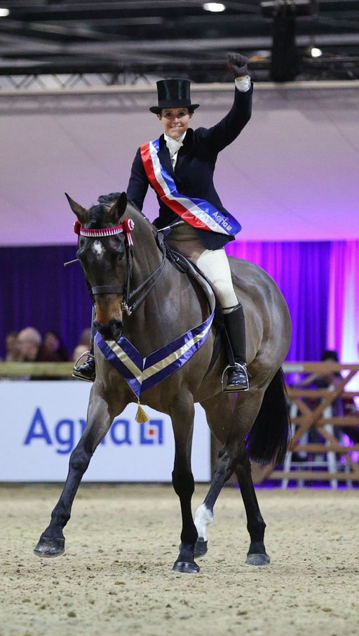 Lady Buttons went from a prolific racehorse to lighting up Olympia, what an amazing horse ⭐️