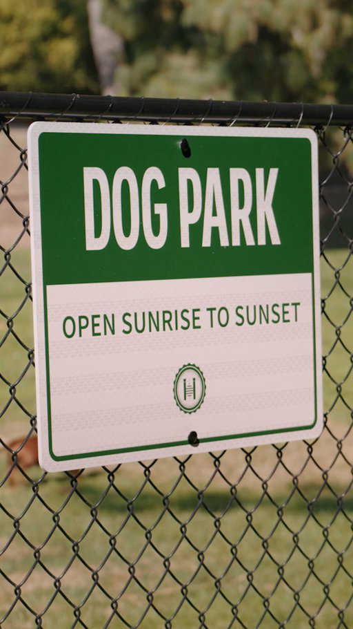 The dog park? Unpredictable. Your coverage? Shouldn’t be. 👀 #ProgressivePetInsurance