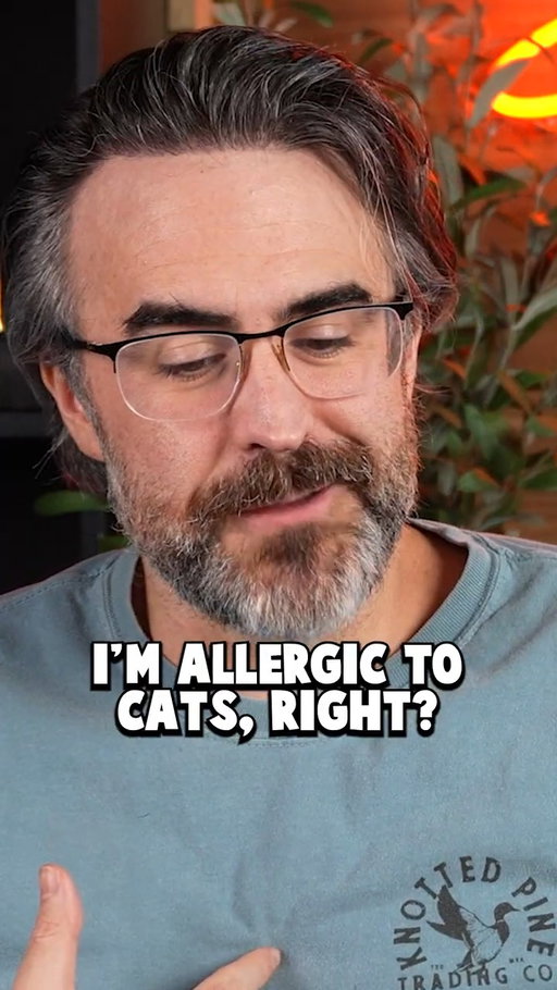 The Pain of Having Kids that want Cats
Being alergic to cats is hard, epsecially when you have kids that really really want a cat. #cat #catsoftiktok #catsofinstagram #cats  #Youtube #funnyclips #youtuber #funny #cinnamontoastken #commentary #comedy