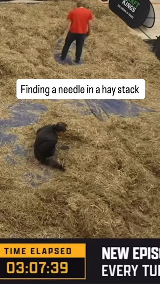 Dude was literally playing in the hay moments before finding the needle

@barstoolafterdark