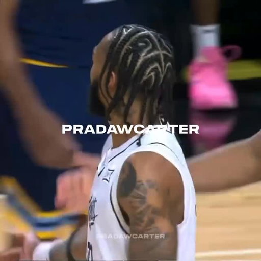 🦈