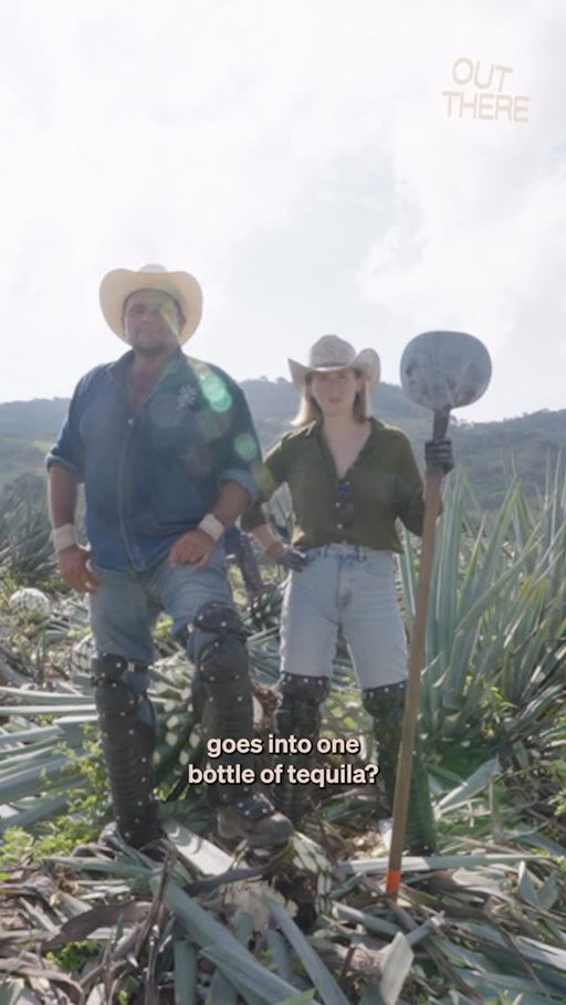 Making tequila was way harder than I thought