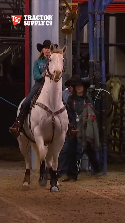 Kassie and Will... an iconic duo with another Go-Round win to their name after a 13.66 tonight at the Thomas and Mack!

Barrel Racing presented by @tractorsupply

#nfr