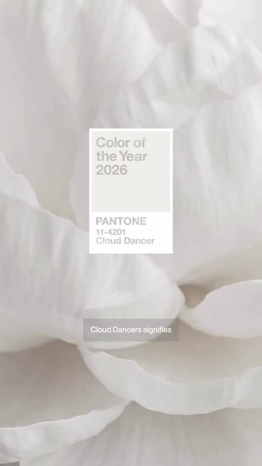 @pantonelatinoamerica La esencia del Color del Año Pantone 2026, PANTONE 11-4201 Cloud Dancer, es servir como un espacio de reflexión que permita el desarrollo de nuevas vías de creatividad.

Pantone conversó con diseñadores, artistas y creadores para comprender cómo abordan la innovación y la creatividad, y cómo el color puede ayudarles a completar su visión.

Para descubrir más sobre Cloud Dancer, visita el enlace en nuestra biografía.

¿Qué significa una página en blanco para tu creatividad?

Creativos:
Shamil Tanna @shamiltannaphoto
Mriga Kapadiya @mriggiesmalls
Nomoco @_nomoco
Sara Boccaccini Meadows @boccaccinimeadows
Emiliano Ponzi @emilianoponzi
Natasha Cunningham @aboutnatlife