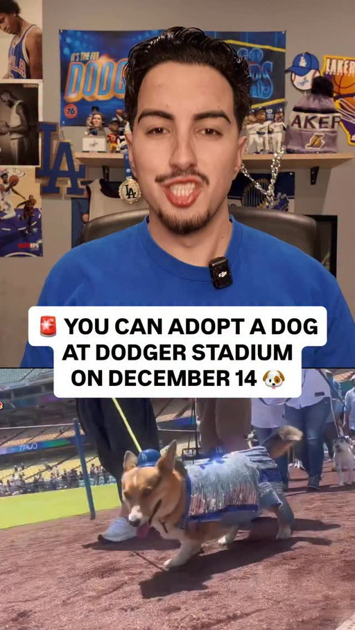 The Dodgers are hosting a special “Home For The Holidays” pet adoption event on December 14 where you can meet and adopt dogs from local shelters in Los Angeles 🥲🐶

Share this with a friend that wants a new dog!

Shot by Noel Sanchez, @noisebynoel 🫡

Tee from @vintagedodgers 🔥

#losangeles #dodgers #dogs