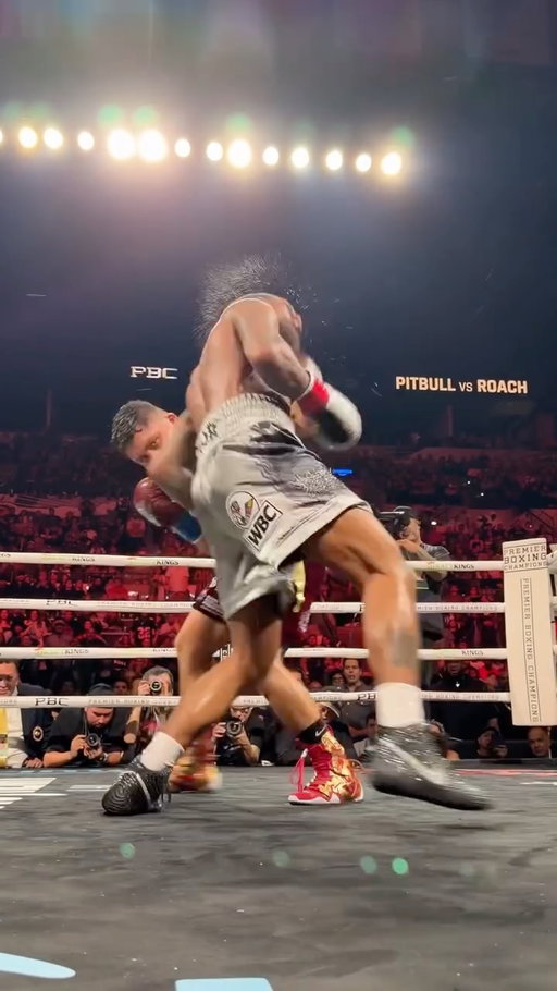 RD11 🔥🔥🔥 #PitbullRoach