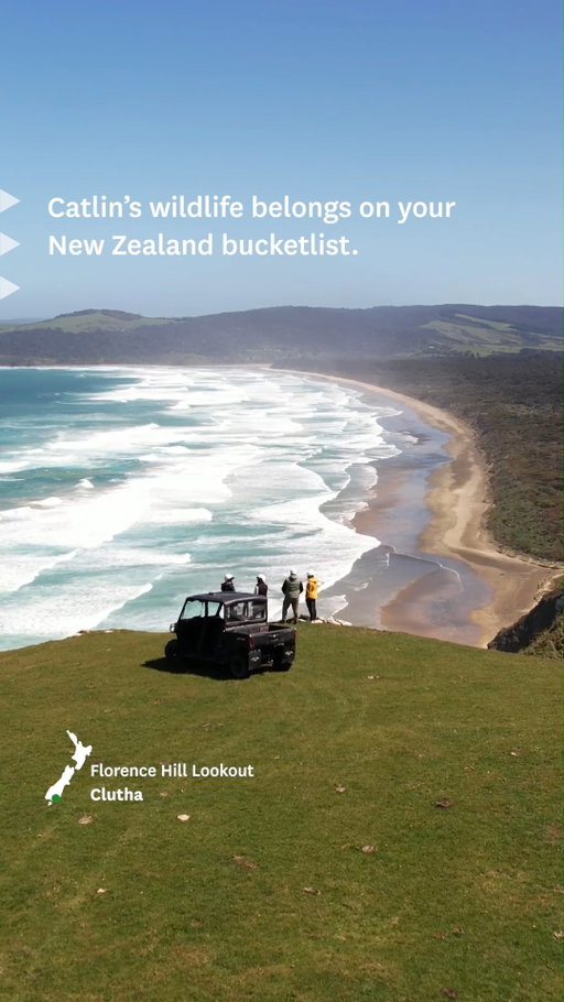 The Catlins coastline is home to remarkable wildlife and welcoming communities. Wander solo or join a local tour for a stress-free adventure, and don’t forget your binoculars. 

Our wildlife is best enjoyed from a distance. Seeing them relaxed in their natural habitat is the ultimate view.

📍Florence Hill Lookout, Clutha
📍Owaka, Clutha
📍Pūrākaunui Bay, Clutha

Planning your Catlins journey? Comment ‘Drive’ and we’ll connect you with the best options. 🚗

#NZMustDo #NZBucketList #FEEL100inNZ #TiakiPromise

👉@Southland.nz @TheCatlinsNZ @catlinstours👈