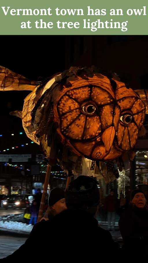 What a sweet surprise. The owl puppet at Brattleboro, Vermont’s tree lighting was created by Sandglass Theater. This was a fun, big, contrast to the towns Festival of Miniatures celebration. 🦉💖 

Do you know of other towns celebrating the holidays with something as unique as this?! #vermonting