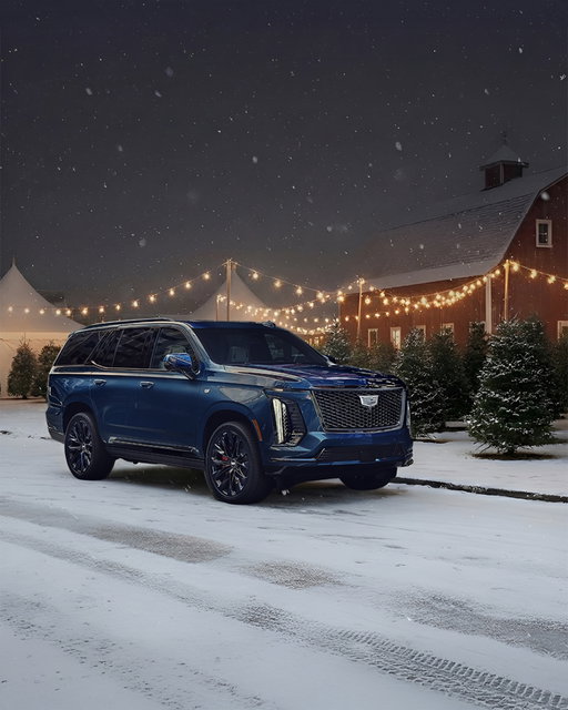 When only the best tree will do.
—
Quand seul le meilleur arbre fera l’affaire.

#Escalade