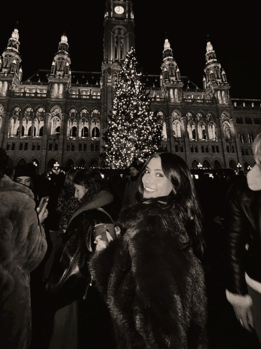 an evening in vienna 💫