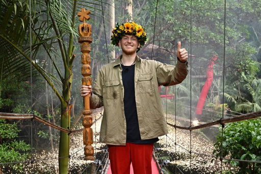 King of the Jungle 👑🌴