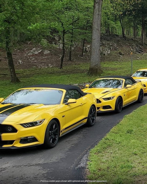 For almost 25 years, the Yellow Mustang Registry (@official.ymr) has fostered a community of over 10,000 drivers dedicated to showcasing their yellow Ford Mustang®. The members travel from all over the country to congregate at select shows, and to refer to each other, and their car, by their registration number.