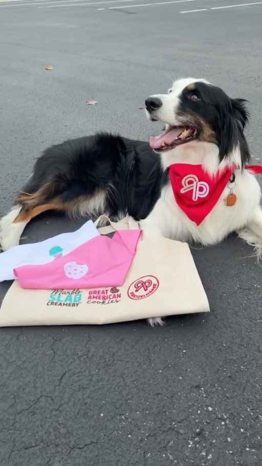 Tis’ the season of treats — for you and your four-legged BFF 🐶❄️ We’ve partnered with @greatamericancookies, @marbleslabcreamery & @pretzelmaker to gift one lucky winner the sweetest holiday bundle including tasty treats, pup toys, festive limited edition merch & one FREE week of dog daycare! 🍪🍨🥨

Ready to win? Here’s how to enter 🎁👇

Follow @dogtopia, @greatamericancookies, @marbleslabcreamery & @pretzelmaker

Comment whether you’re team sweet or team salty & tag a friend 😋

**Contest ends at 11:59 PM EST on December 12, 2025. The winner will be selected on December 13, 2025. Visit the link in our bio for further details.