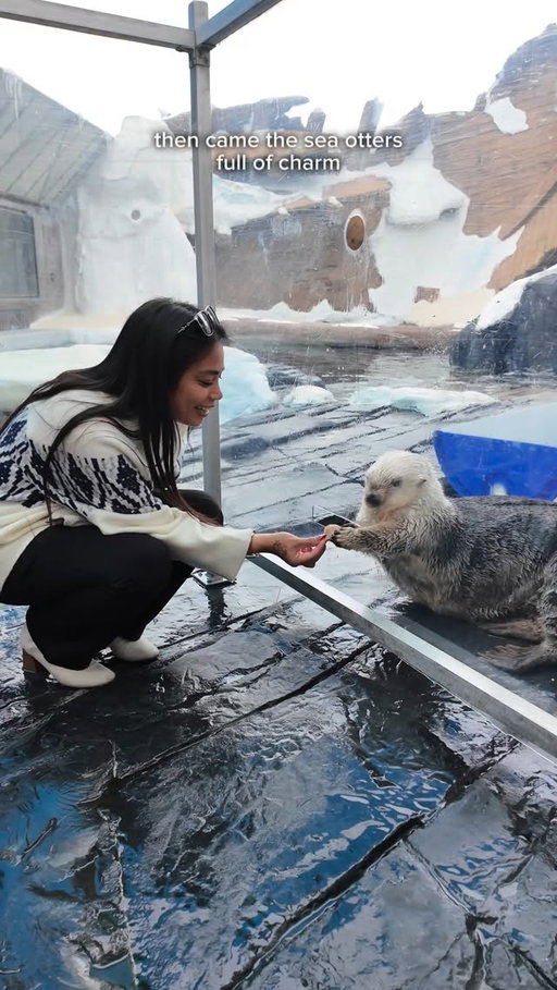 A 6am party bus led to the most amazing VIP day at @seaworldsandiego 🌊 #ad

We checked into the @catamaranresortsandiego, had lunch overlooking the orcas, encountered orcas and sea otters up close, experienced sea turtle and penguin habitats, and ended the night with a private dinner at the Jewels of the Sea exhibit. It all felt unreal! 🫧

The annual passes and VIP experiences are the perfect way to level up your family days all year long. The park is offering their biggest sales of the season on their website, so check out the link in my bio to shop! ✨ 

#SeaWorldSanDiego
