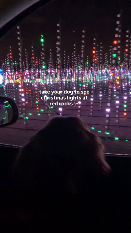 drive through red rocks everyday til christmas! get 🎟️ at @christmas.in.color 🚗✨

#denver #colorado #christmas