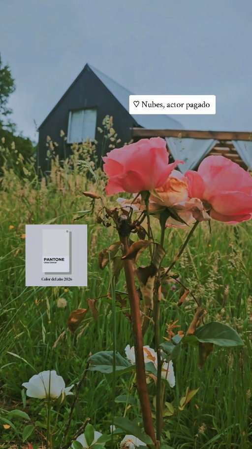 [Mantención Refugio] 🤍✨️ Renové el Refugio por mantención y sin saberlo coincidió con el color del año 2026 CLOUD DANCER publicado por @pantone 

🏡 El Refugio no tiene árboles cerca por los fuertes vientos de la zona, ya que representan un alto riesgo al ser frecuentes las caídas en los últimos años. Y sus fachadas de ventanas son sólo de vidrio, por lo que la transferencia de calor es alta en verano a pesar de contar con aislación en los muros. Es por eso que tuve que pintar el techo de un color que ayudara a calmar el interior, había optado por un verde oscuro pero en la ferretería me comentaron que no obtendría el resultado esperado y me recomendaron el blanco ✨️ No les voy a negar que me resistí porque amo la oscuridad simbólica de mi Refugio. No quedaba otra.

También compré un color pensando que era negro para renovar la pintura de los pisos de madera expuestos a la lluvia y resultó que llegué con una tinaja blanca no tengo idea porqué. El color me perseguía. Luego lo utilicé en el diseño interior del baño para no perder el costo de la pintuta. Cosas que pasan... y si la vida te da limones pues les saco el jugo ✨️

Por fuera el año pasado pude hacer una terraza que permitiese la entrada de luz pero controlada, y para protegernos de los rayos UV, es que opte por cubrir el techo que nos da sombra desde el policarbonato alveolar. 

Este año agregué unas cortinas blackout que puedo poner y sacar según el clima y sinceramente han sido medidas que a mis compañeros peludos y a mi nos han permitido danzar incluso en los días más candentes en el Refugio y terminó encantandome los blancos a pesar de la resistencia y que era lo que había, no lo que puede elegir 🫠✨️ 

Donde hubo oscuridad 🖤🏡 ahora hay un poquito de suave luz entrando al Refugio, pero muy cloud dancer style ☁️✨️😎✨️🌱 me estaré también transformando yo?