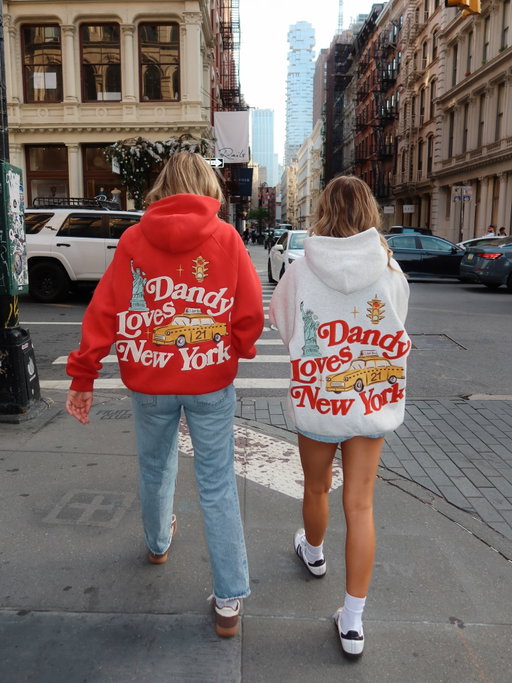 hey, new york hoodies are restocked AGAIN…and they just can’t seem to stay in stock so get em while they’re still on the site <3

last day for free US Christmas shipping is next wednesday Dec 17

ok bye <3333