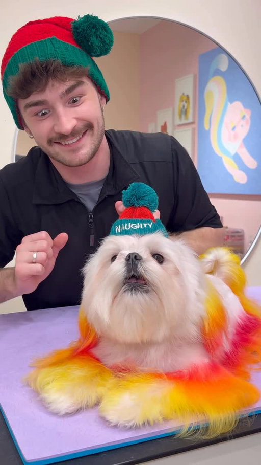 Naughty or Nice? 
.
@tinyspikeymikey is the icon here 😂🤍 thank you at @natflix.dogs for letting me wash your baby 💕
.
#dogs #doggrooming #dogsbylogan